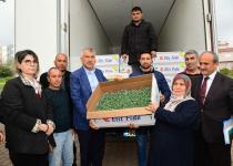 Başkan Karalar’dan köylüye domates fidesi desteği