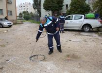 Büyükşehir, sivrisinekle mücadeleye şimdiden başladı