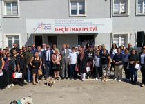 Hem Sokak Canlılarının Yaşamı Korunmalı Hem de Toplumun Güvenliği Sağlanmalı