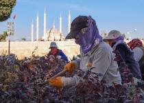 Büyükşehir çalışıyor, Adana güzelleşiyor