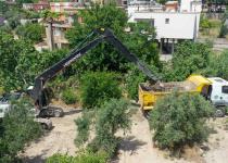 Büyükşehir derelerde, kanallarda, su birikintilerini önlemek için ıslah çalışması yapıyor